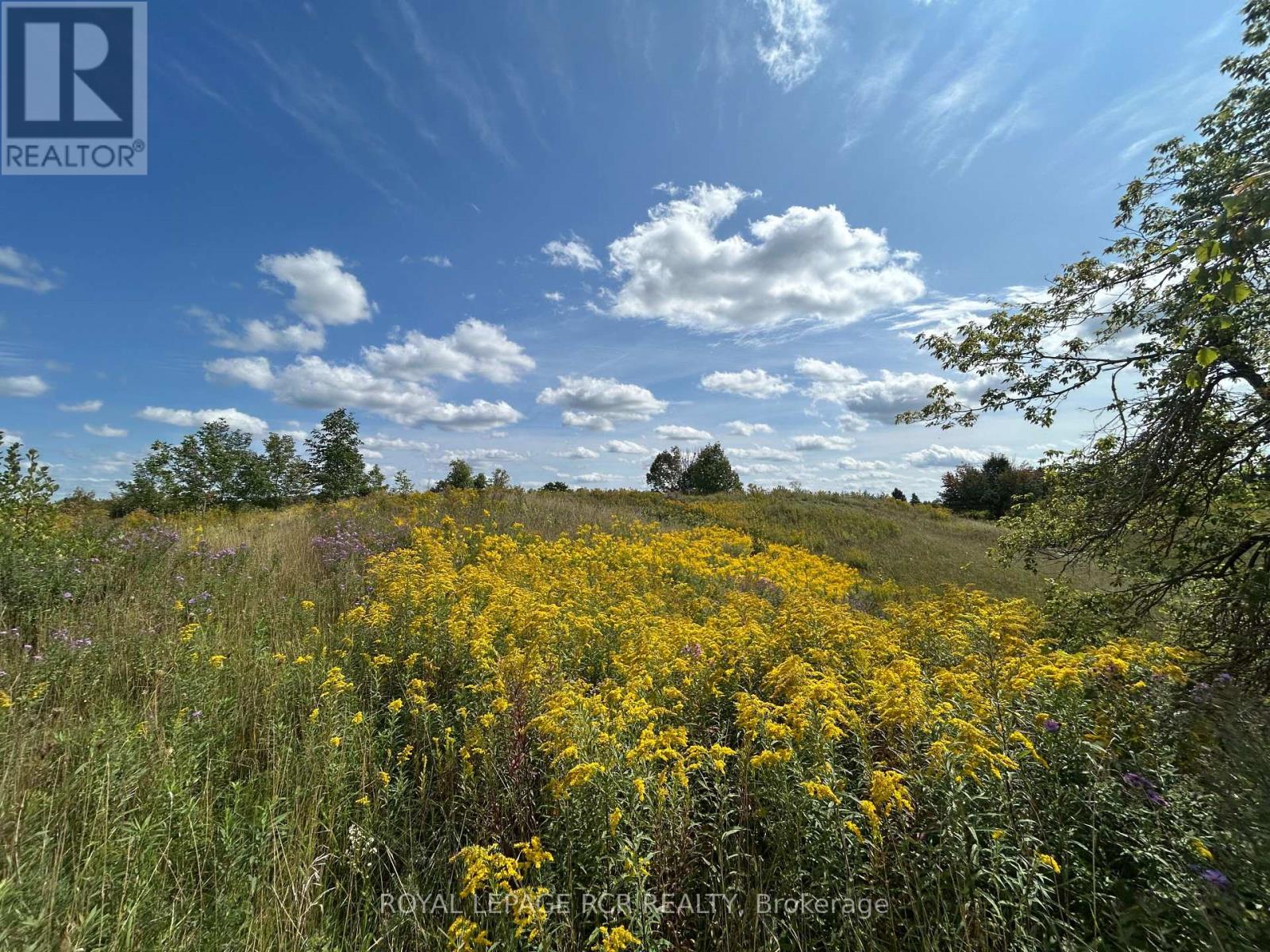 Pt2 Lt29 2nd Line, Amaranth, Ontario  L9V 1L6 - Photo 4 - X13649430