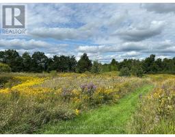 PT2 LT29 2ND LINE, Amaranth, Ontario