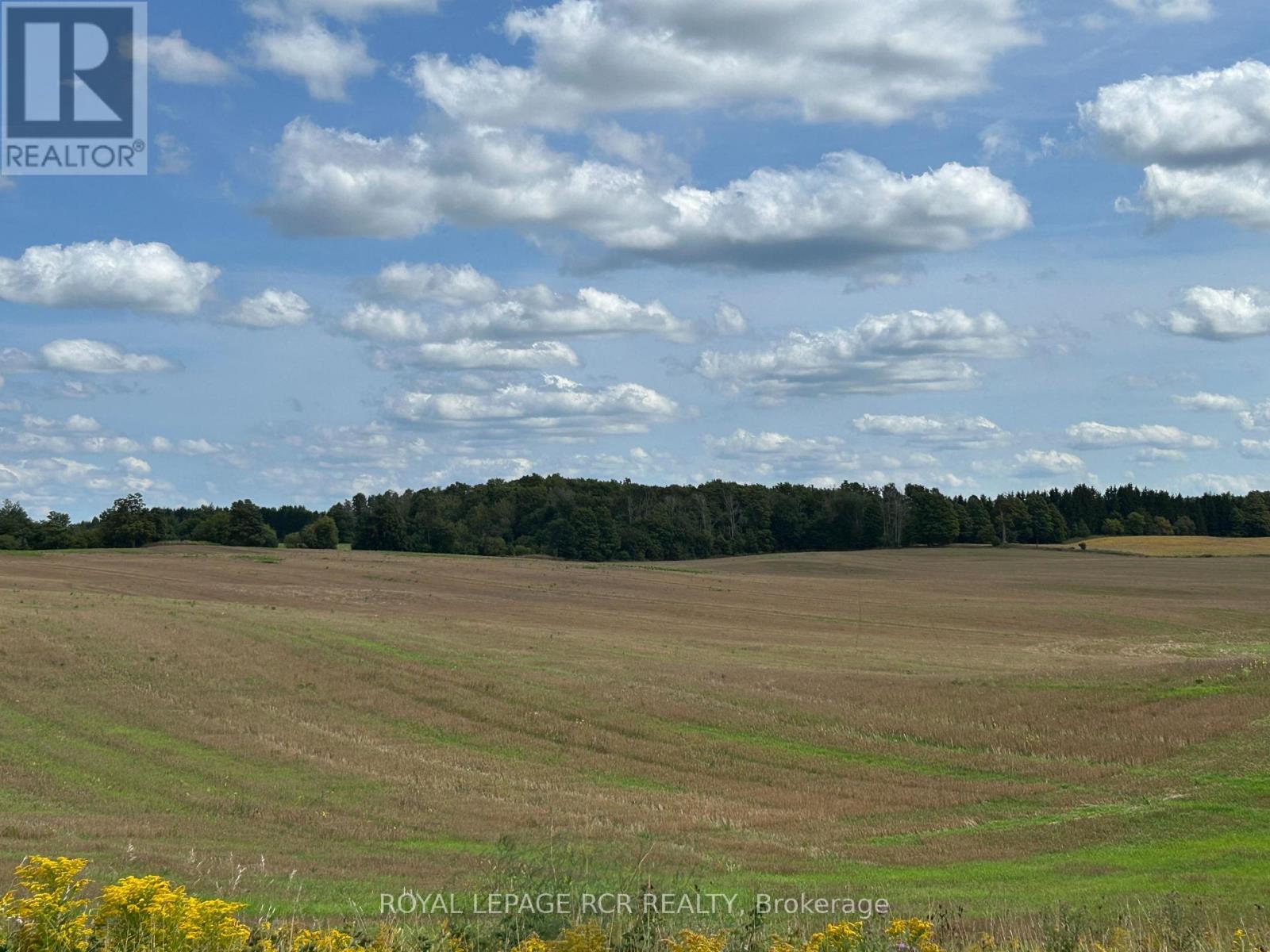 Ptlt 29 2nd Line, Amaranth, Ontario  L9V 1L6 - Photo 7 - X12890224