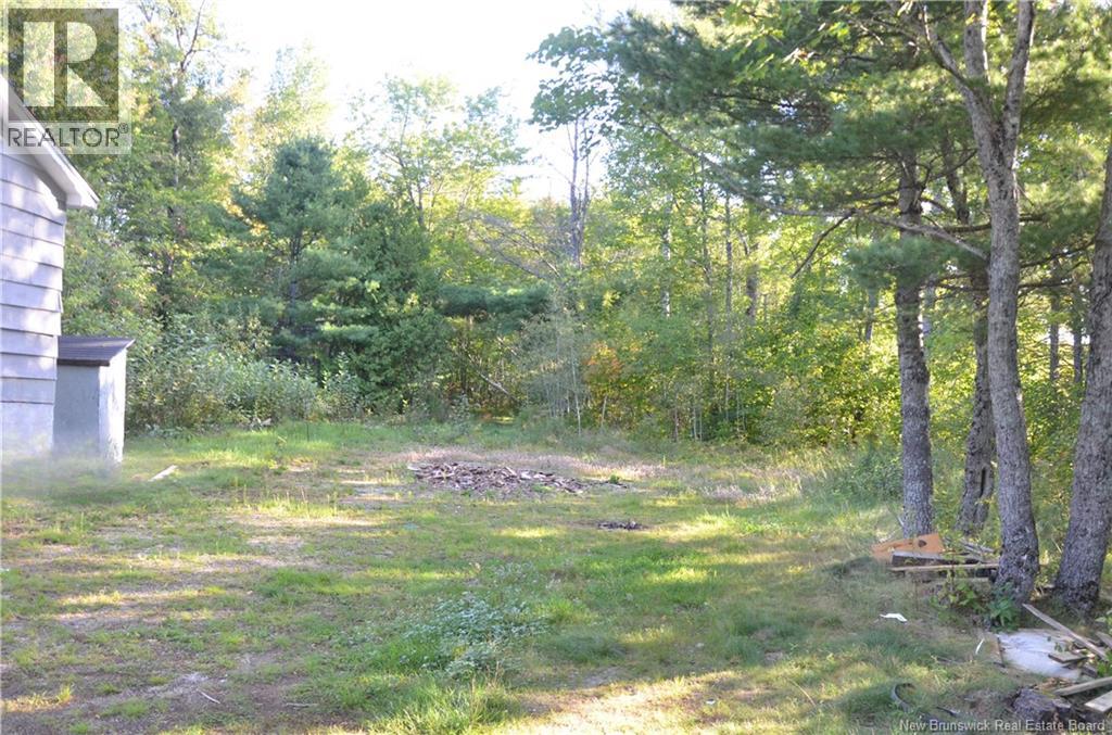 137 Harvey Road, Mcadam, New Brunswick  E6J 1A1 - Photo 29 - NB147488