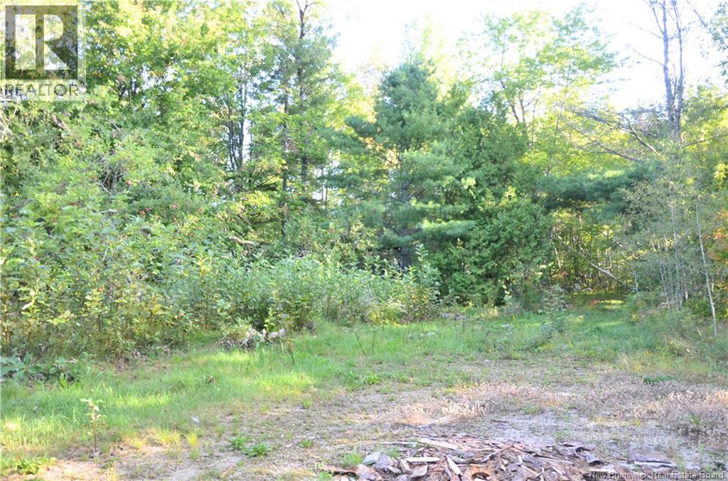 137 Harvey Road, Mcadam, New Brunswick  E6J 1A1 - Photo 28 - NB147488