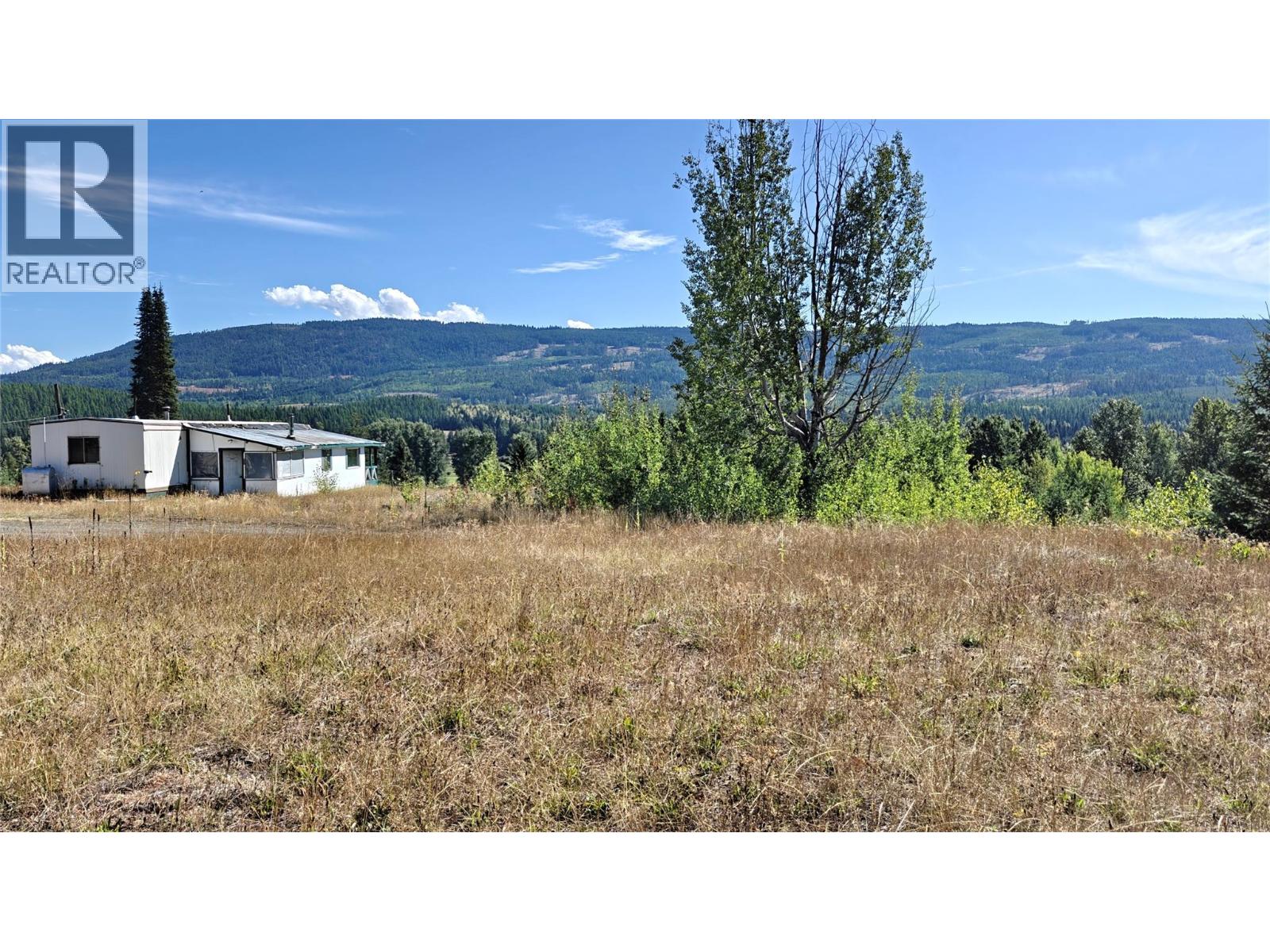 1336 Trinity Valley Road, Lumby, British Columbia  V0E 2G4 - Photo 6 - 10399963