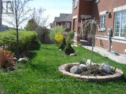 #18-Bsmnt - 8 Townwood Drive, Richmond Hill, Ontario  L4E 4Y9 - Photo 3 - N13778240