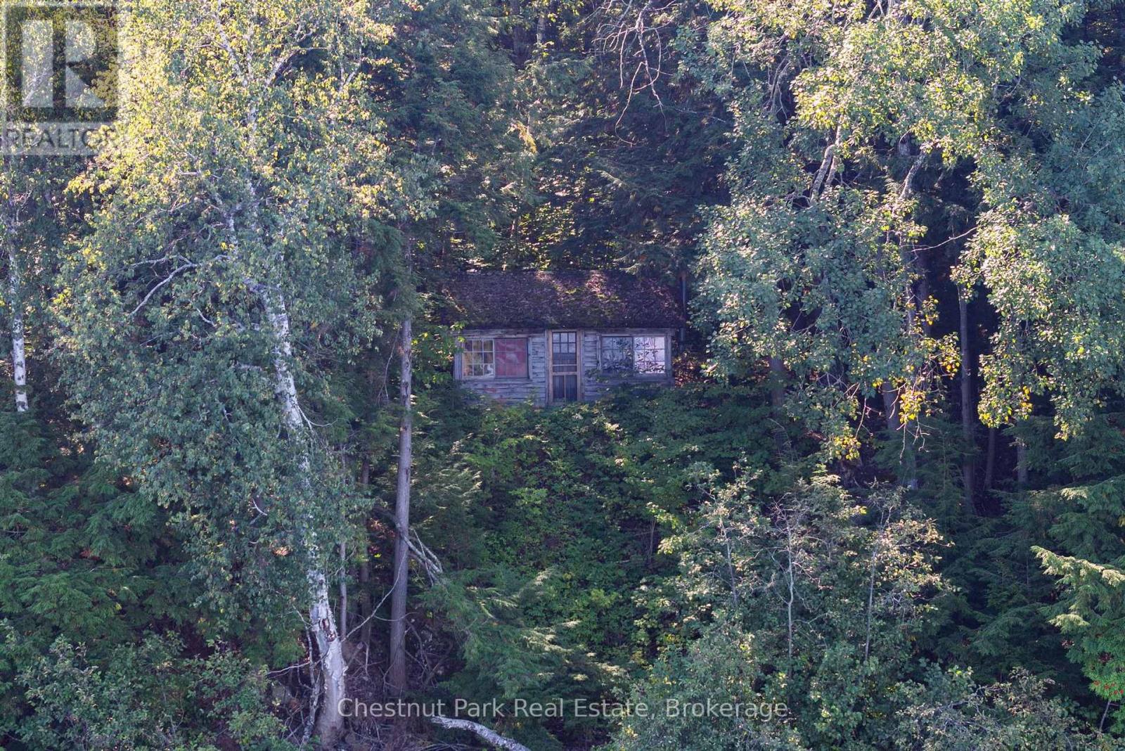 4339 Muskoka Road 117 Road, Lake Of Bays, Ontario P0B 1A0 - Photo 18 - X13764314