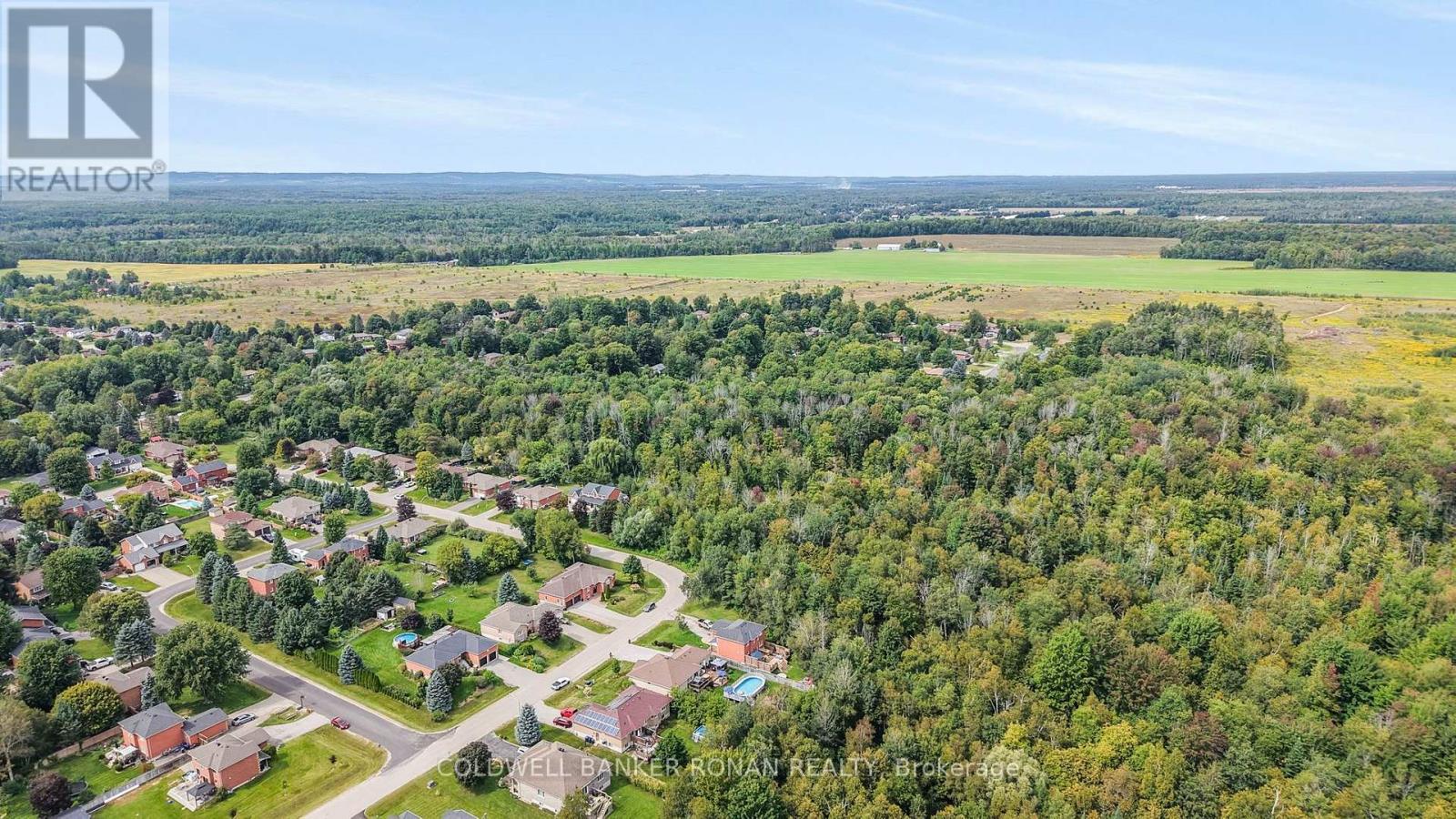 65 Burbank Circle, Adjala-Tosorontio, Ontario  L0M 1J0 - Photo 36 - N13778458