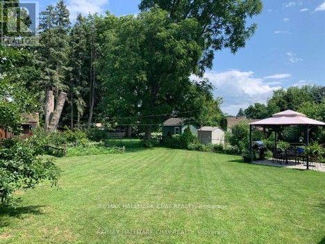 77 Church Street S, New Tecumseth, Ontario  L9R 1J4 - Photo 6 - N13778480