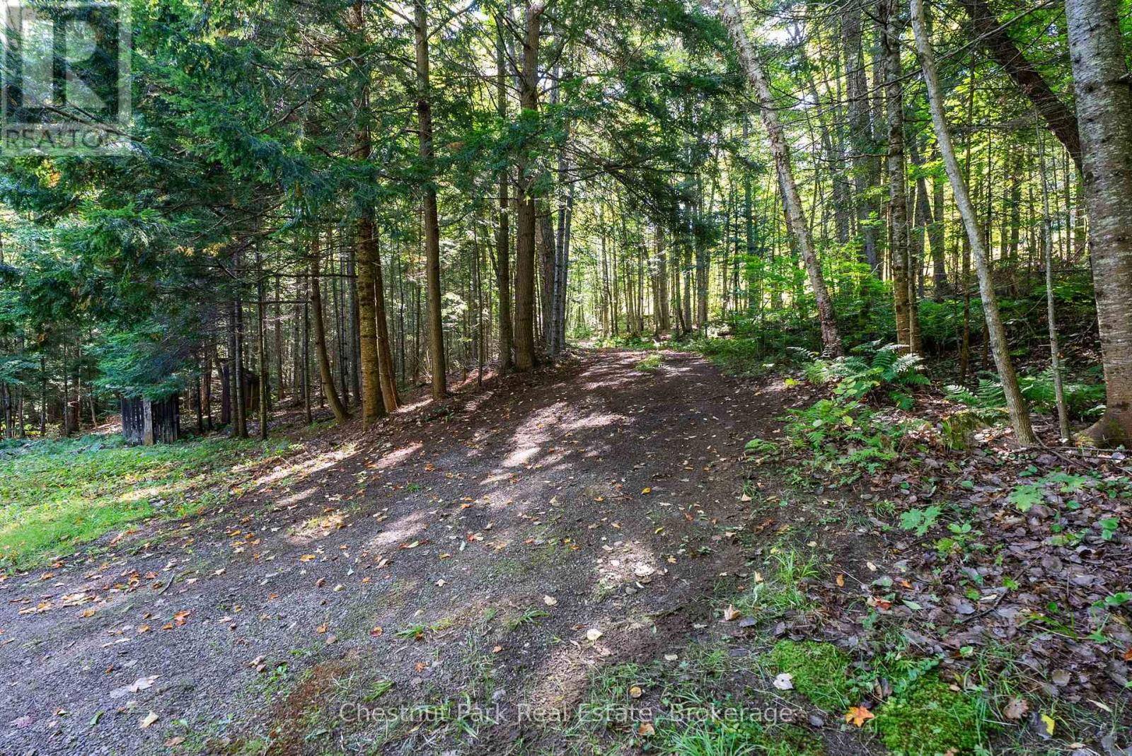 4339 Muskoka Road 117 Road, Lake Of Bays, Ontario  P0B 1A0 - Photo 22 - X13764314