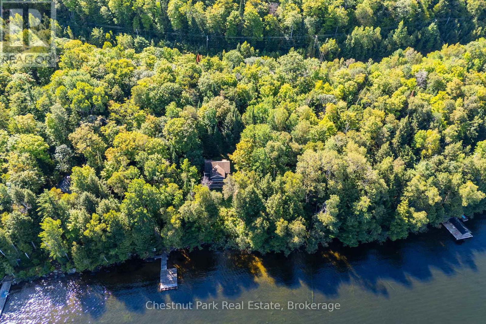4339 Muskoka Road 117 Road, Lake Of Bays, Ontario  P0B 1A0 - Photo 26 - X13764314