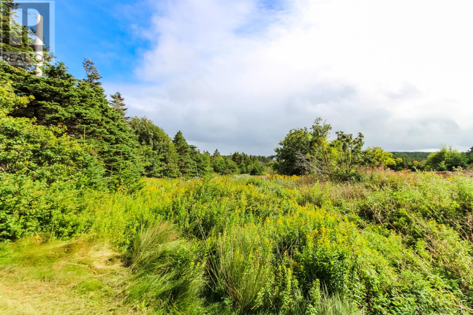 25 Back Road, Flatrock — photo 37