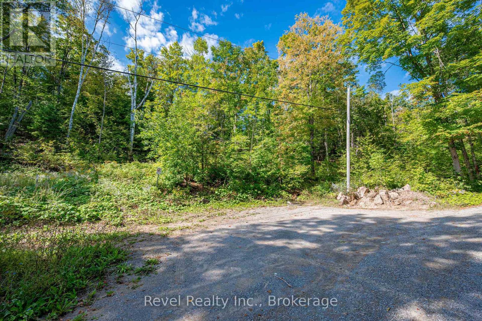 Lot 27 Part 2 - 505 Bass Lake Road, Trent Lakes, Ontario  K0M 1A0 - Photo 4 - X13775630