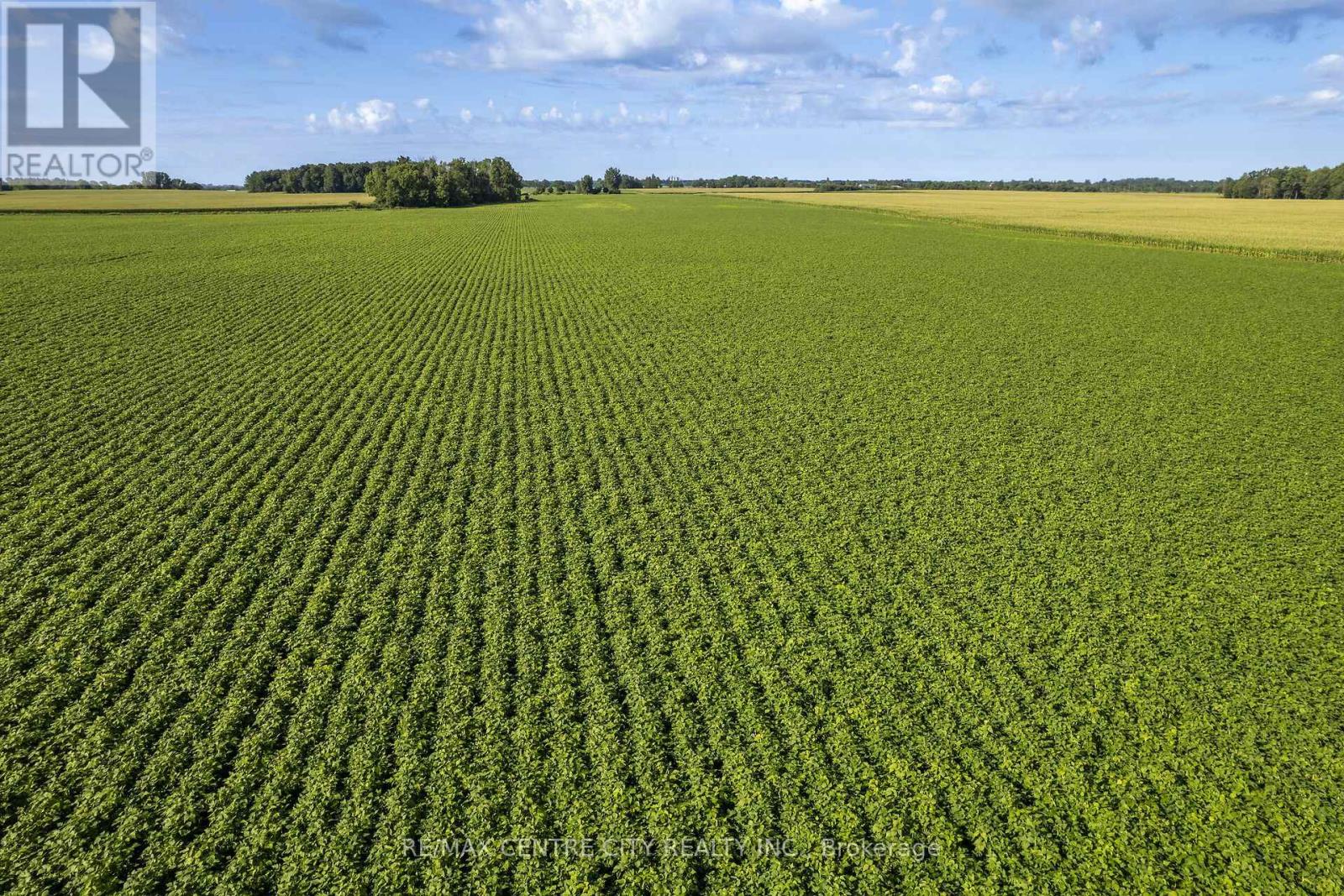 4697 15 Line, Perth South, Ontario  N4X 1C9 - Photo 10 - X13778728