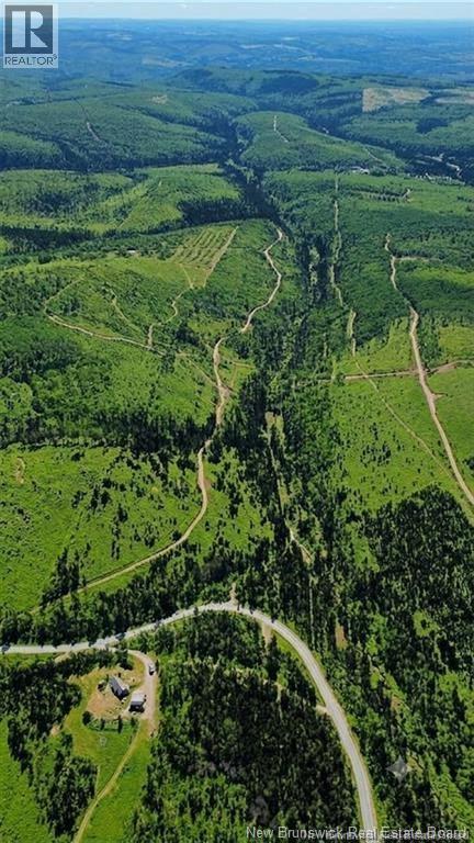 Land Kintore Tower Road, Kintore, New Brunswick  E7H 2P8 - Photo 2 - NB147101