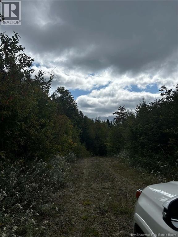 Land Kintore Tower Road, Kintore, New Brunswick  E7H 2P8 - Photo 11 - NB147101