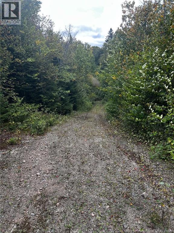 Land Kintore Tower Road, Kintore, New Brunswick  E7H 2P8 - Photo 23 - NB147101