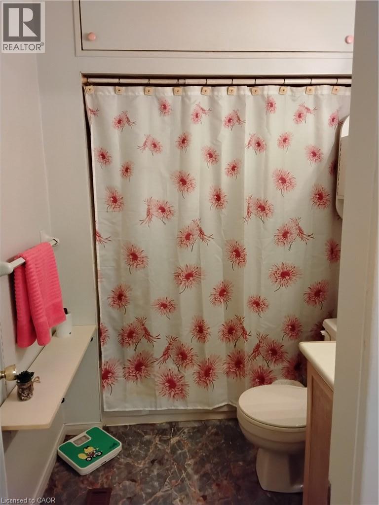 156 Leinster Avenue N, Hamilton, Ontario  L8L 6X9 - Photo 17 - 40861615