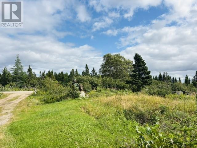69442 Greenspond Road, New Wes Valley — photo 43