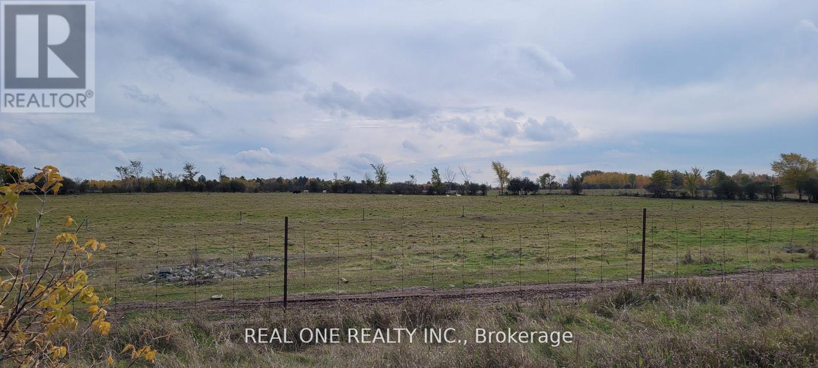 408 Portage Road, Kawartha Lakes, Ontario K0M 2B0 - Photo 4 - X13778694