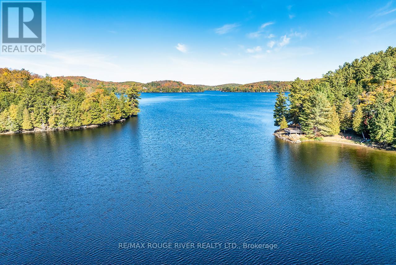0 Thompson Portage Road, Lake Of Bays, Ontario  P0A 1H0 - Photo 33 - X13537826