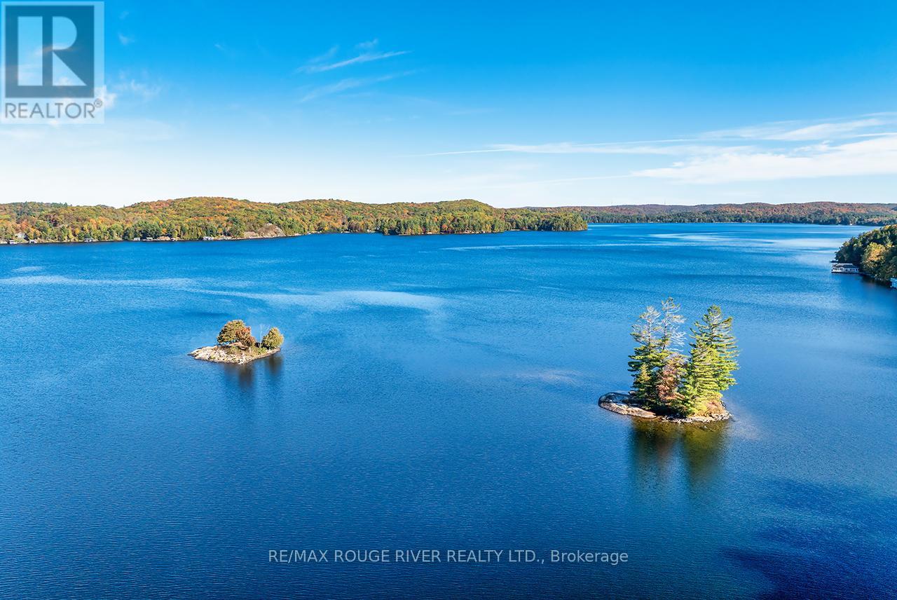 0 Thompson Portage Road, Lake Of Bays, Ontario  P0A 1H0 - Photo 34 - X13537826