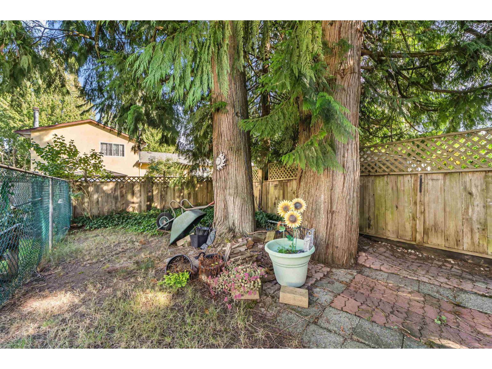 14974 92a Avenue, Surrey, British Columbia  V3R 7A5 - Photo 29 - R3164812