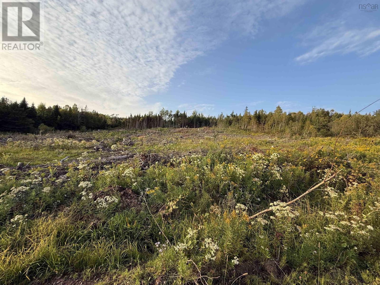 Lot 18-2 RIVER PHILLIP Road photo 9