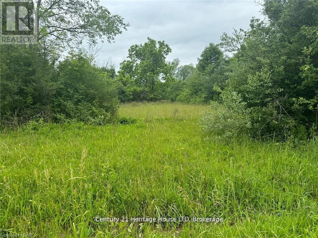 Vl Rosehill Road, Fort Erie, Ontario  L2A 5M4 - Photo 6 - X13779116