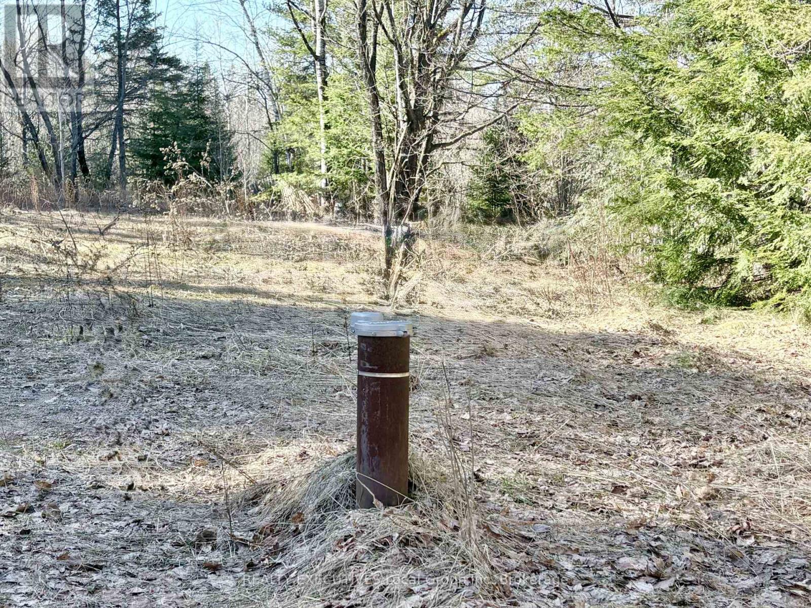 30 Peever Line, Powassan, Ontario  P0H 1Z0 - Photo 10 - X13779210