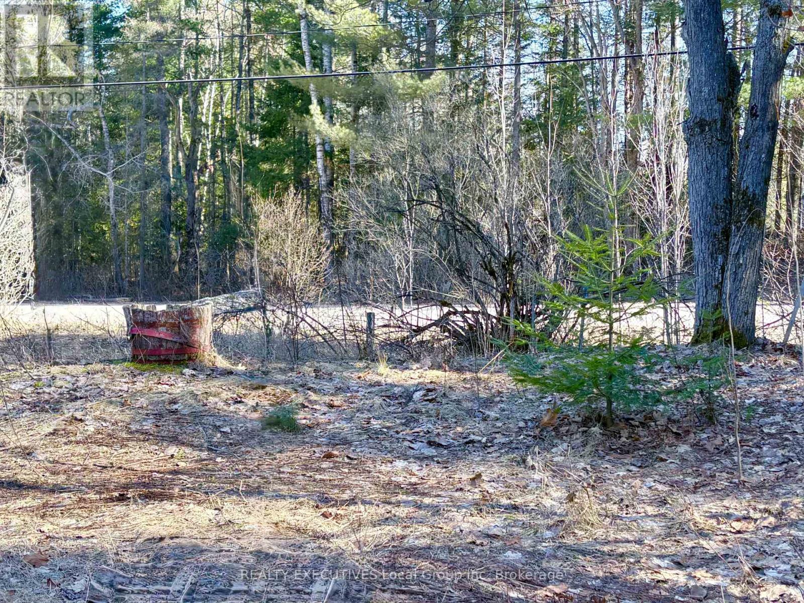 30 Peever Line, Powassan, Ontario  P0H 1Z0 - Photo 12 - X13779210