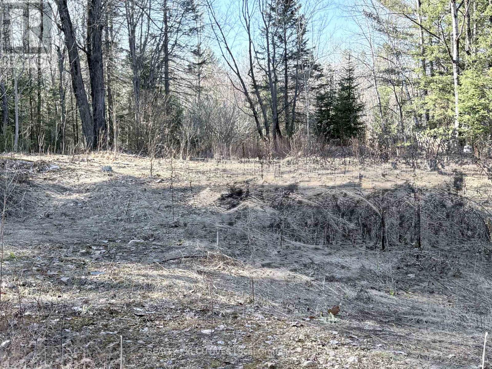 30 Peever Line, Powassan, Ontario  P0H 1Z0 - Photo 9 - X13779210