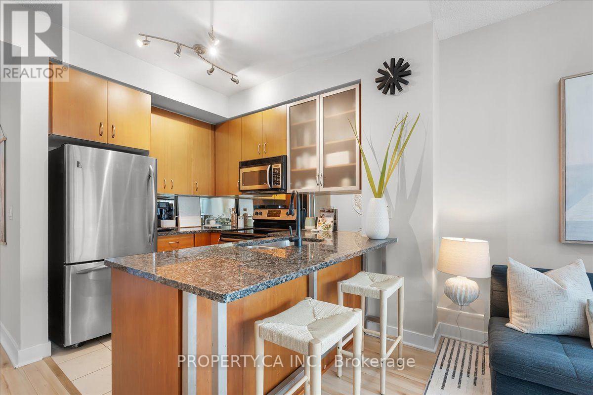 1204 - 438 King Street W, Toronto, Ontario  M5V 3T9 - Photo 5 - C13779160