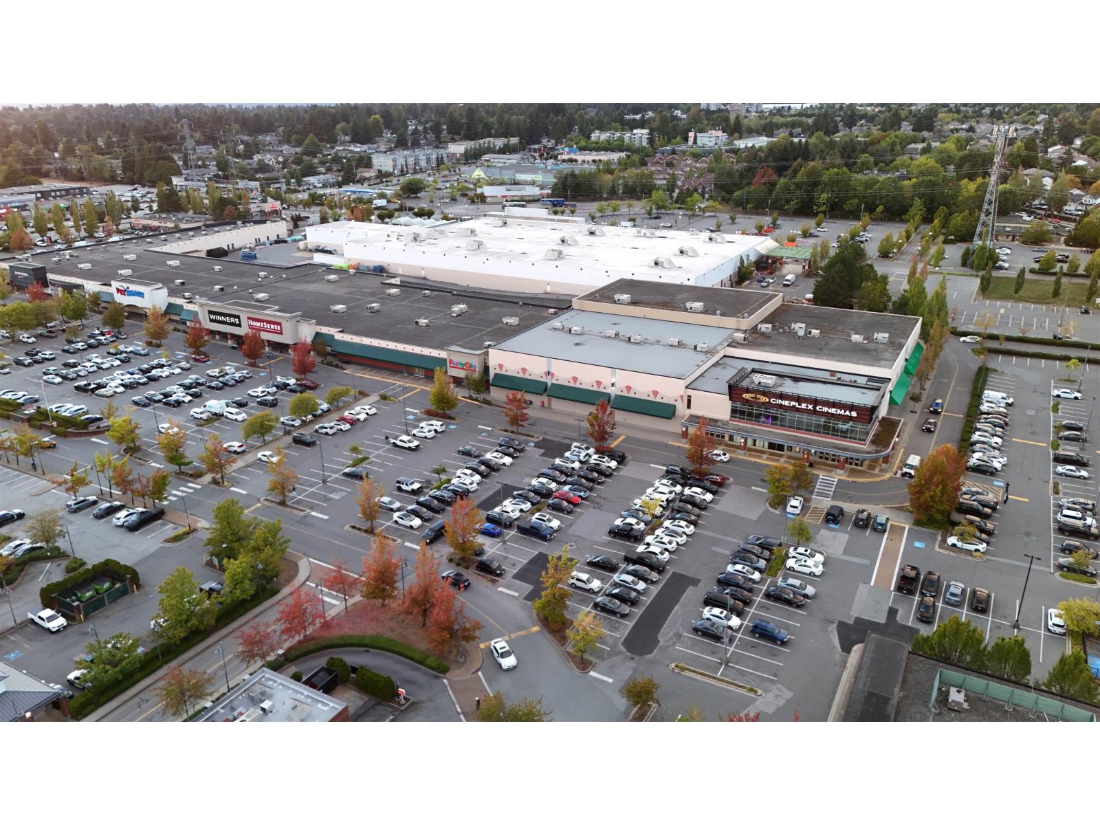 7339 122a Street, Surrey, British Columbia  V3W 3T2 - Photo 33 - R3161859