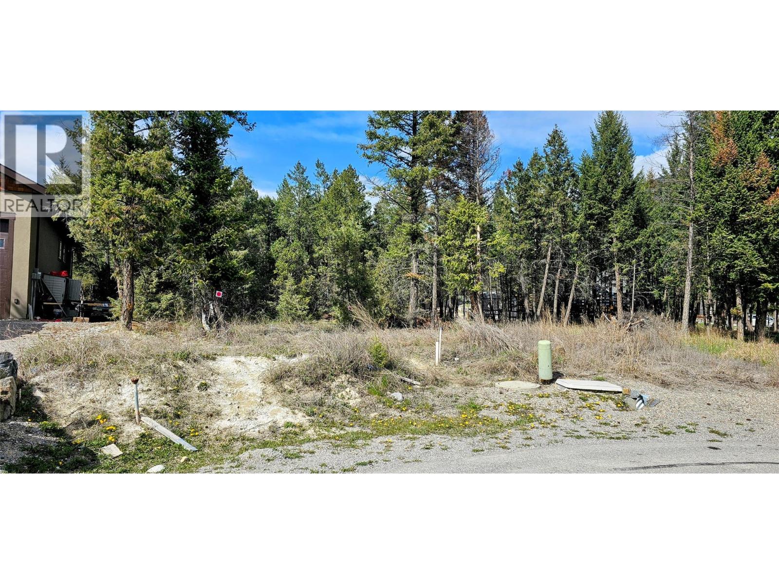 Lot 64 Copper Point Way, Windermere, British Columbia  V0A 1K3 - Photo 9 - 10339098
