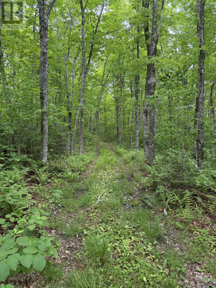 Lot (Pid 20098885) Truro Road, New Annan, Nova Scotia  B0K 1V0 - Photo 1 - 202623215