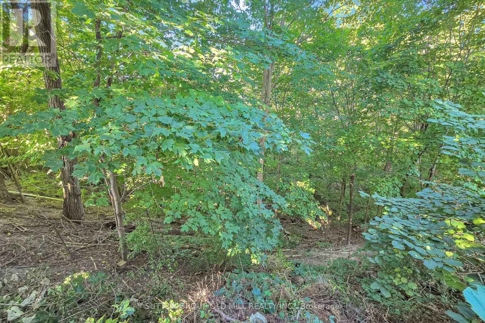 4 Ravenscrest Drive, Toronto, Ontario  M9B 5M7 - Photo 41 - W13779054