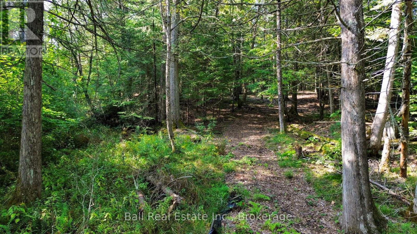 85 Fr 19c Route, Havelock-Belmont-Methuen, Ontario  K0L 1Z0 - Photo 10 - X13780460