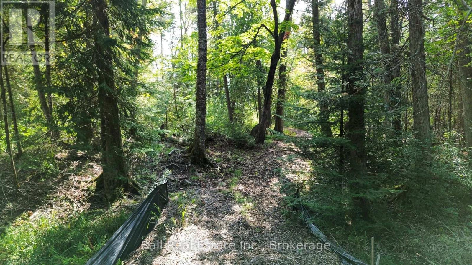 85 Fr 19c Route, Havelock-Belmont-Methuen, Ontario  K0L 1Z0 - Photo 11 - X13780460