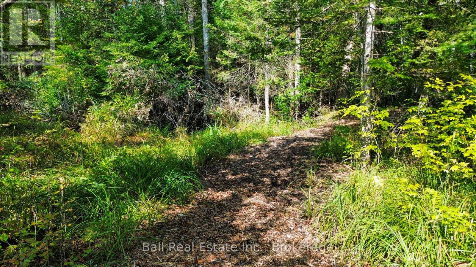 85 Fr 19c Route, Havelock-Belmont-Methuen, Ontario  K0L 1Z0 - Photo 12 - X13780460