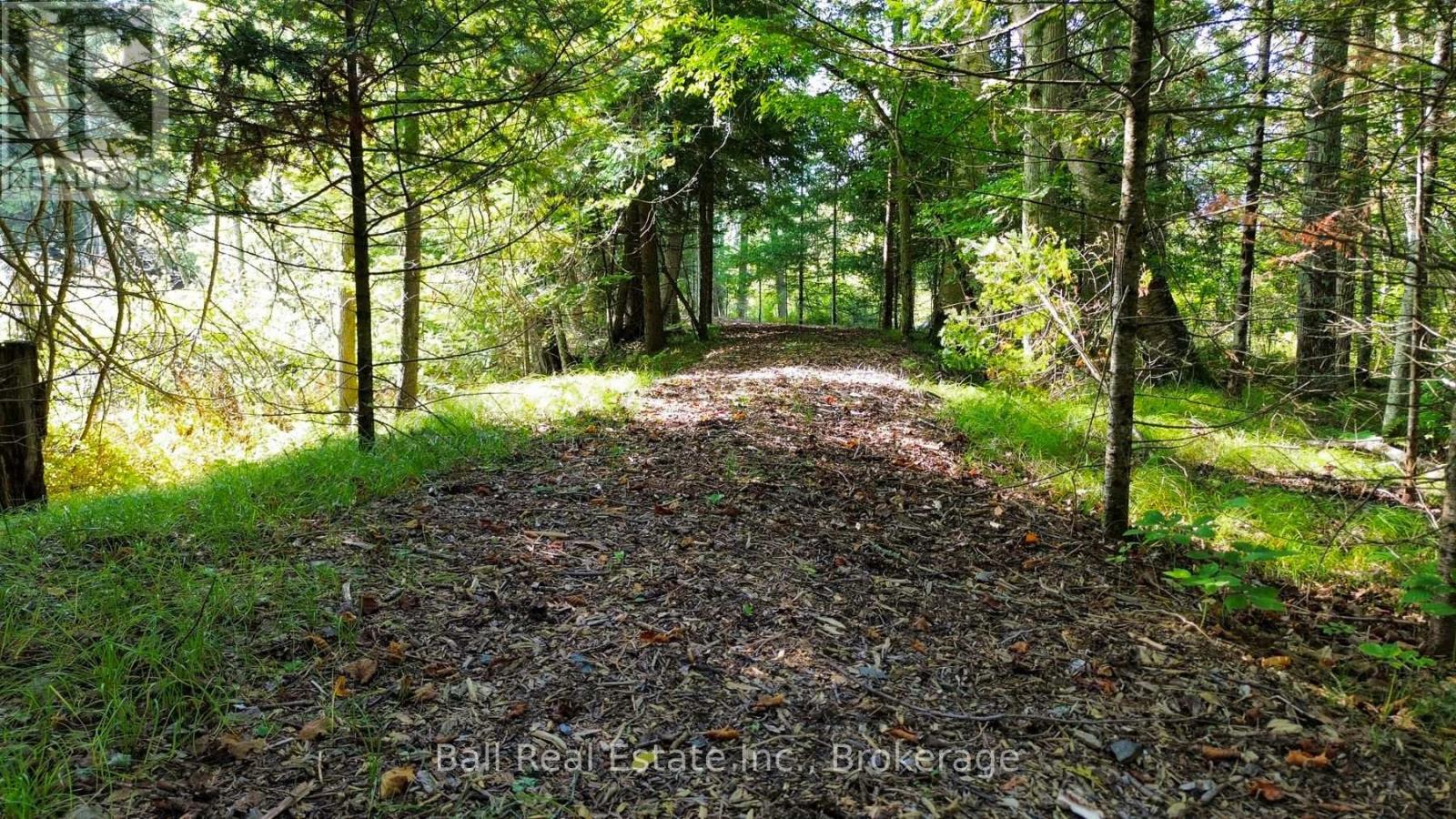 85 Fr 19c Route, Havelock-Belmont-Methuen, Ontario  K0L 1Z0 - Photo 13 - X13780460