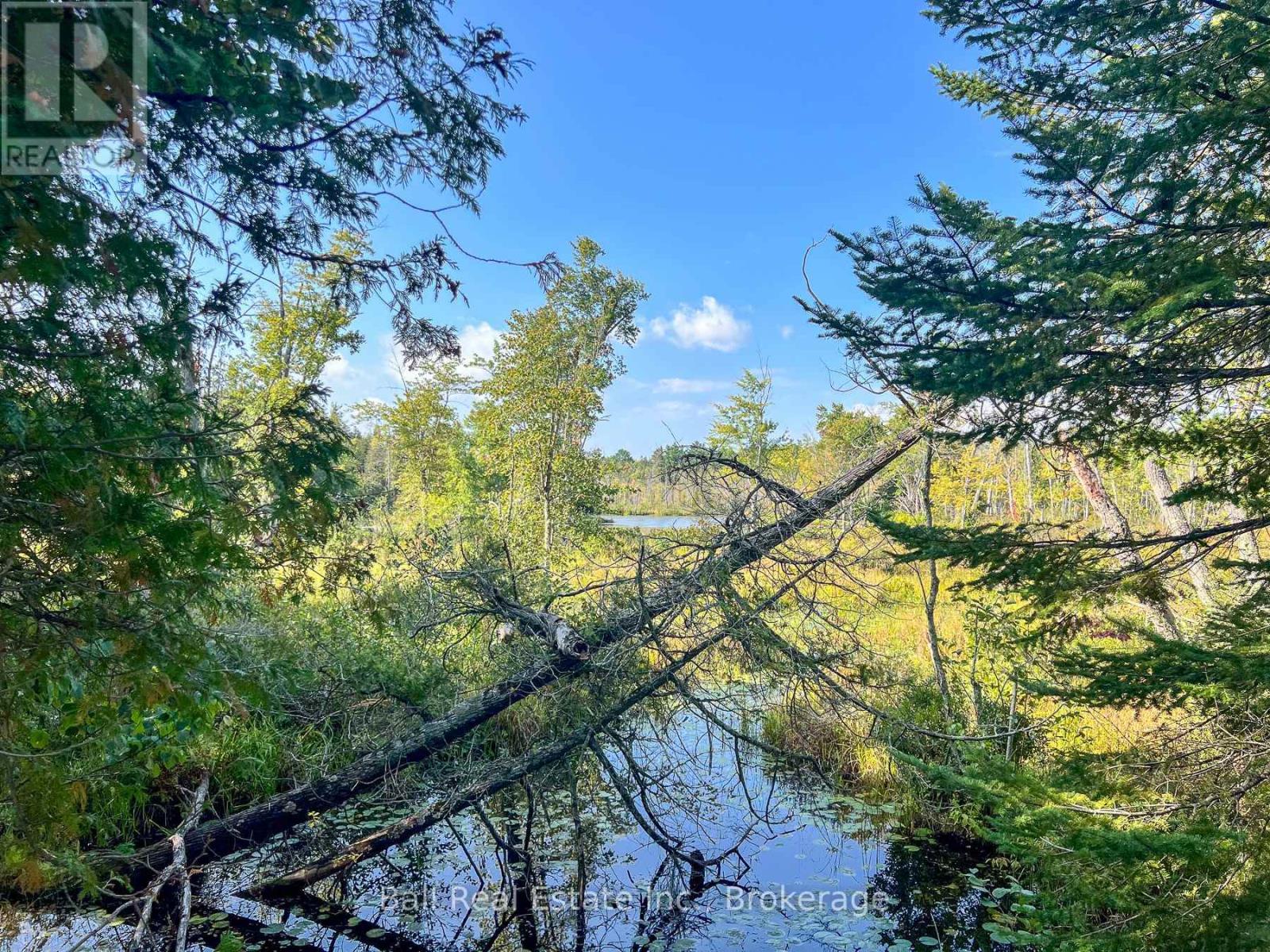 85 Fr 19c Route, Havelock-Belmont-Methuen, Ontario  K0L 1Z0 - Photo 17 - X13780460