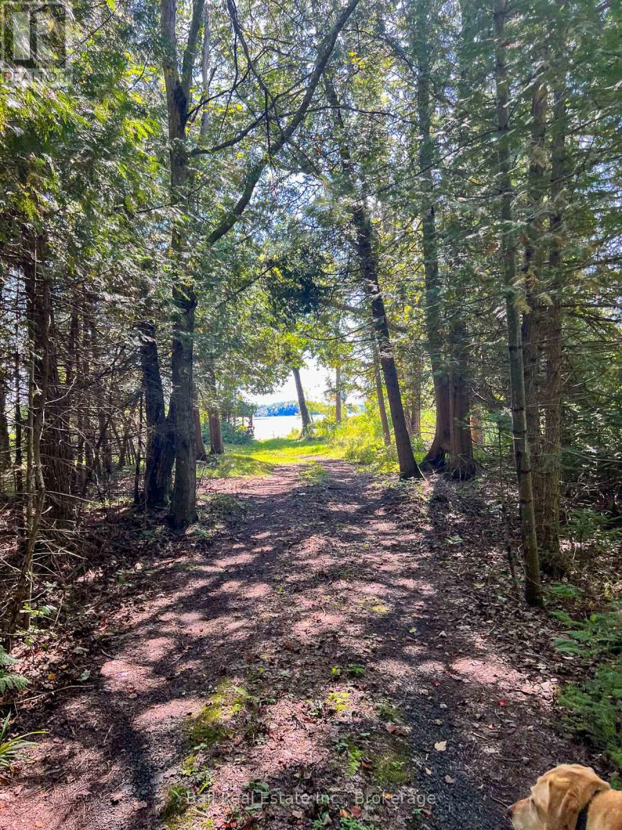 85 Fr 19c Route, Havelock-Belmont-Methuen, Ontario  K0L 1Z0 - Photo 18 - X13780460