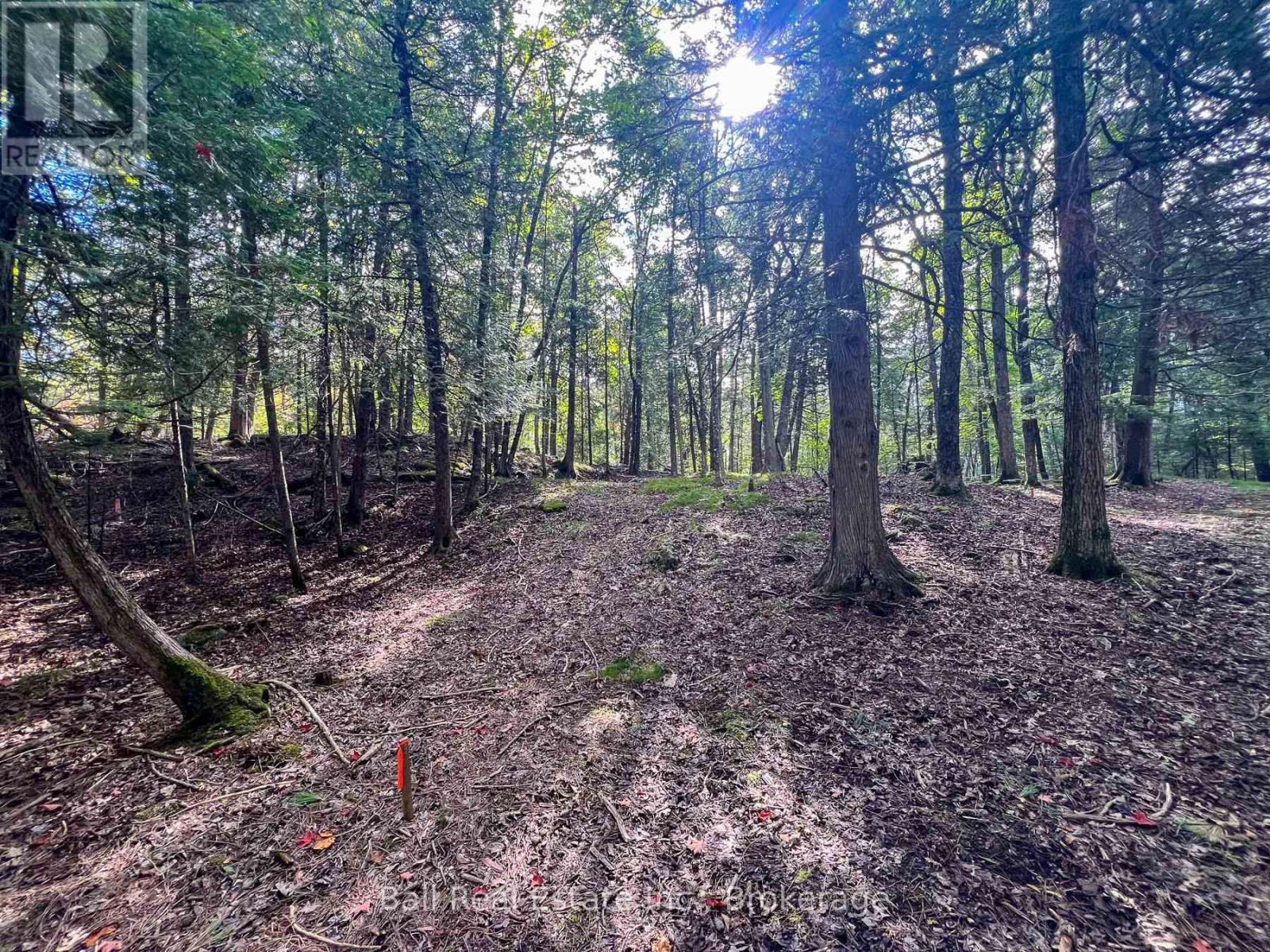 85 Fr 19c Route, Havelock-Belmont-Methuen, Ontario  K0L 1Z0 - Photo 19 - X13780460