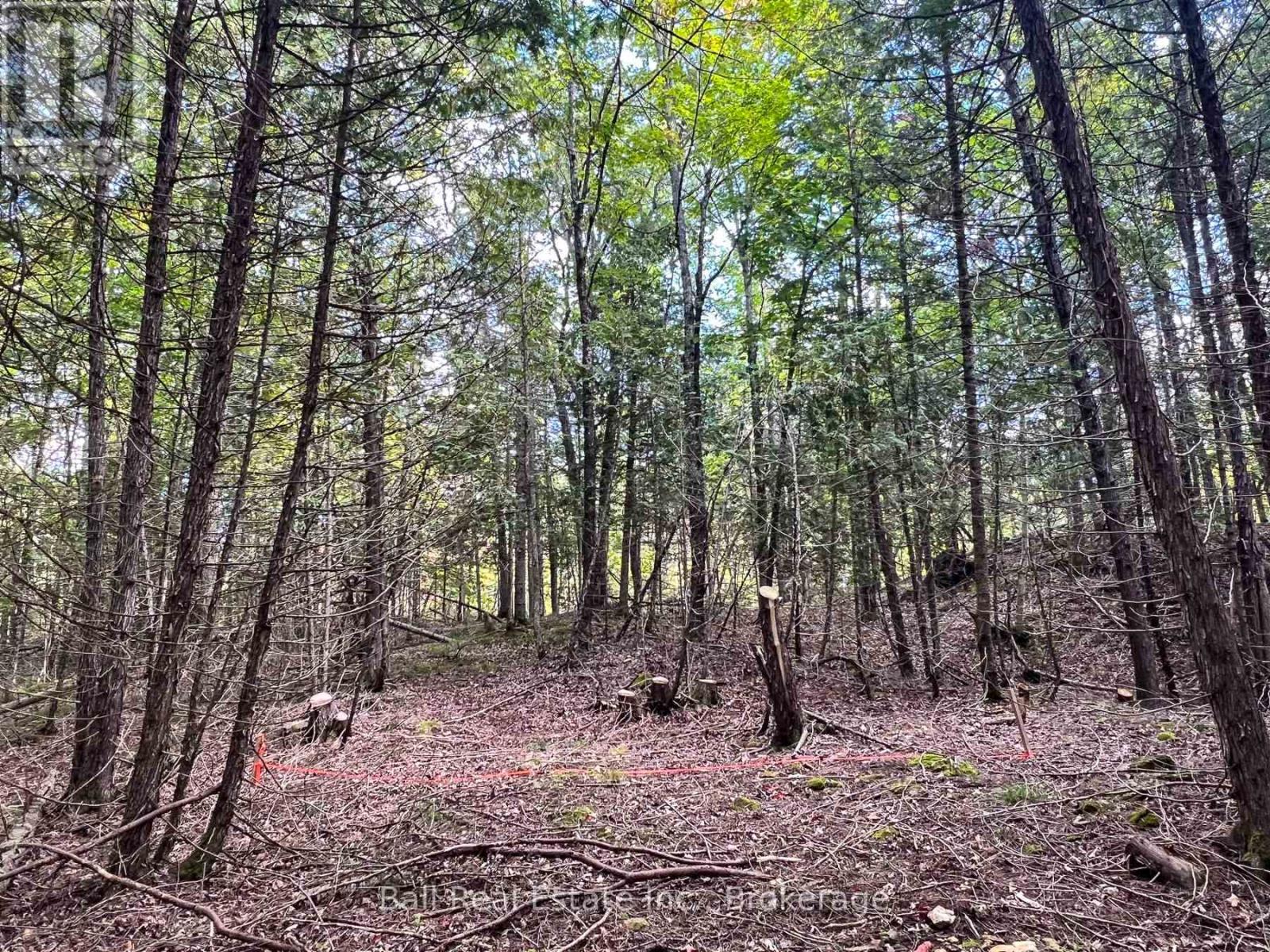 85 Fr 19c Route, Havelock-Belmont-Methuen, Ontario  K0L 1Z0 - Photo 21 - X13780460