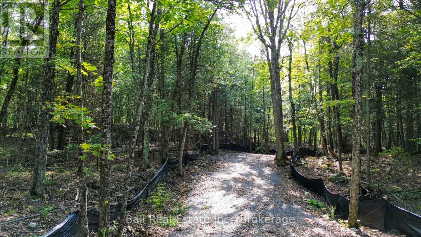 85 Fr 19c Route, Havelock-Belmont-Methuen, Ontario  K0L 1Z0 - Photo 6 - X13780460
