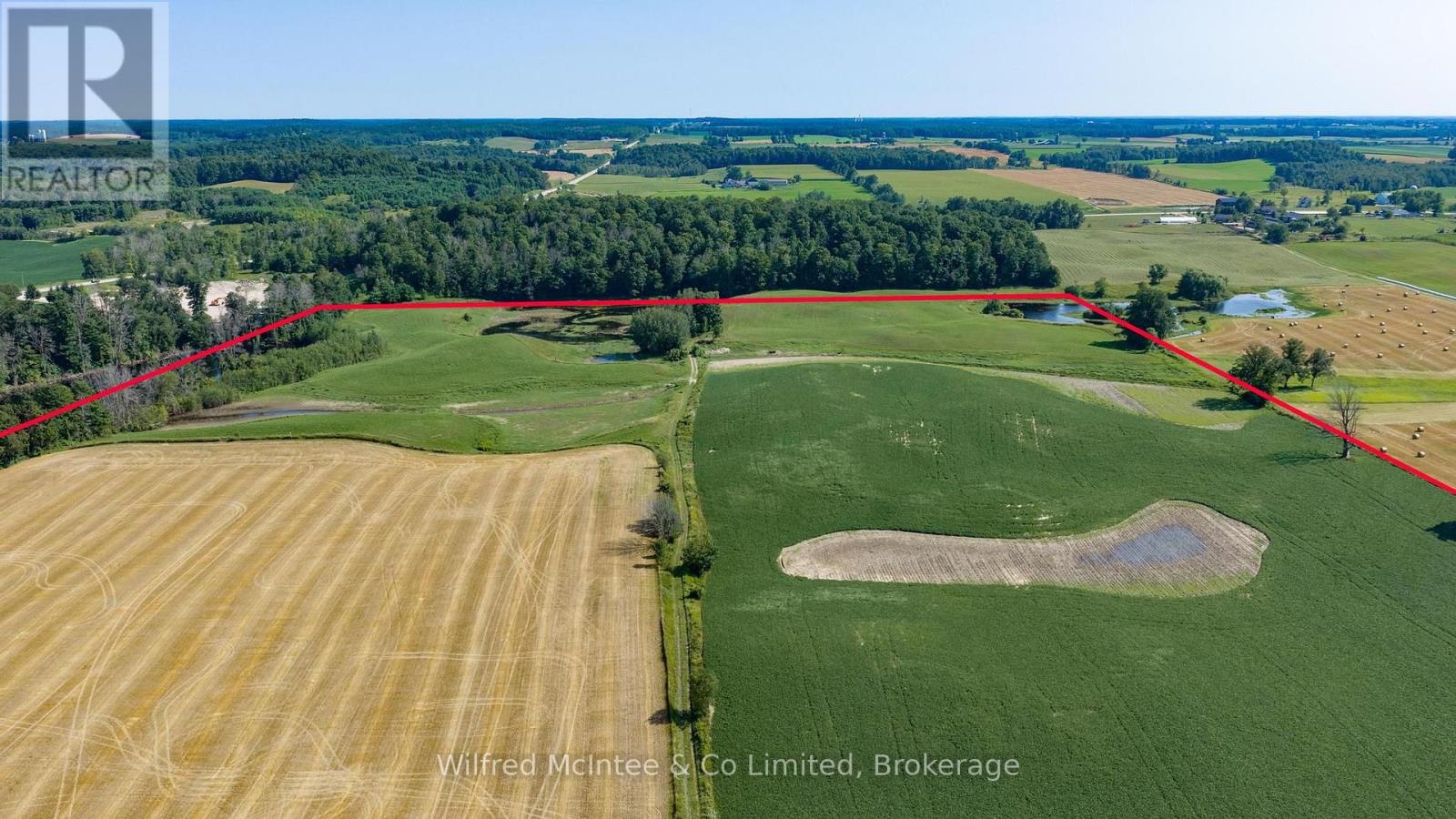12 Bismark Street N, South Bruce, Ontario  N0G 2J0 - Photo 11 - X13780270