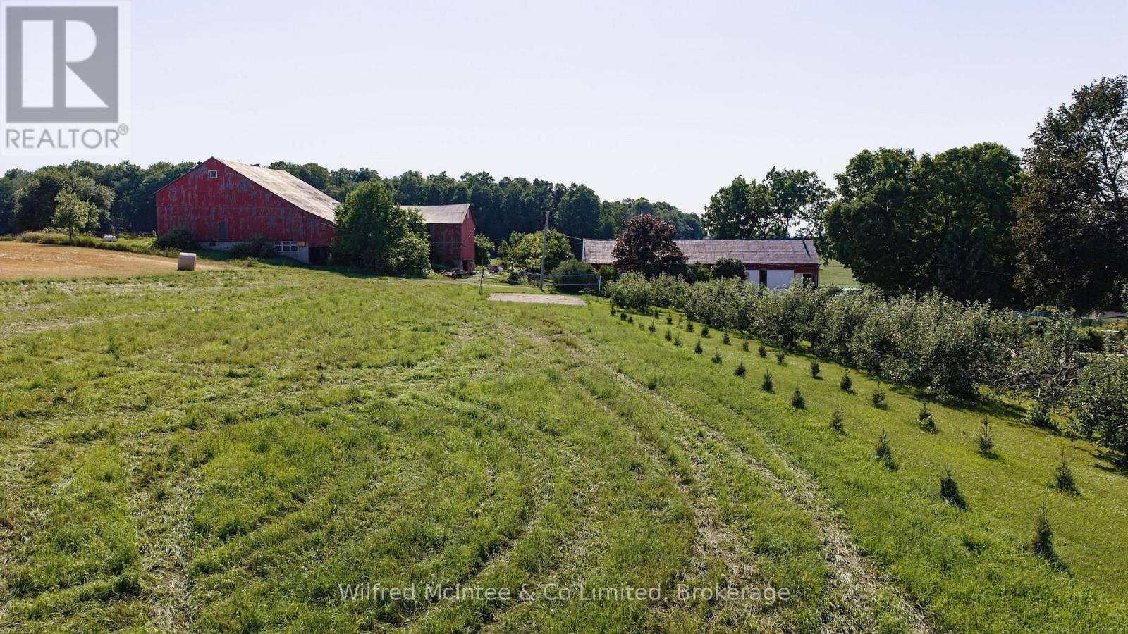 12 Bismark Street N, South Bruce, Ontario  N0G 2J0 - Photo 13 - X13780270