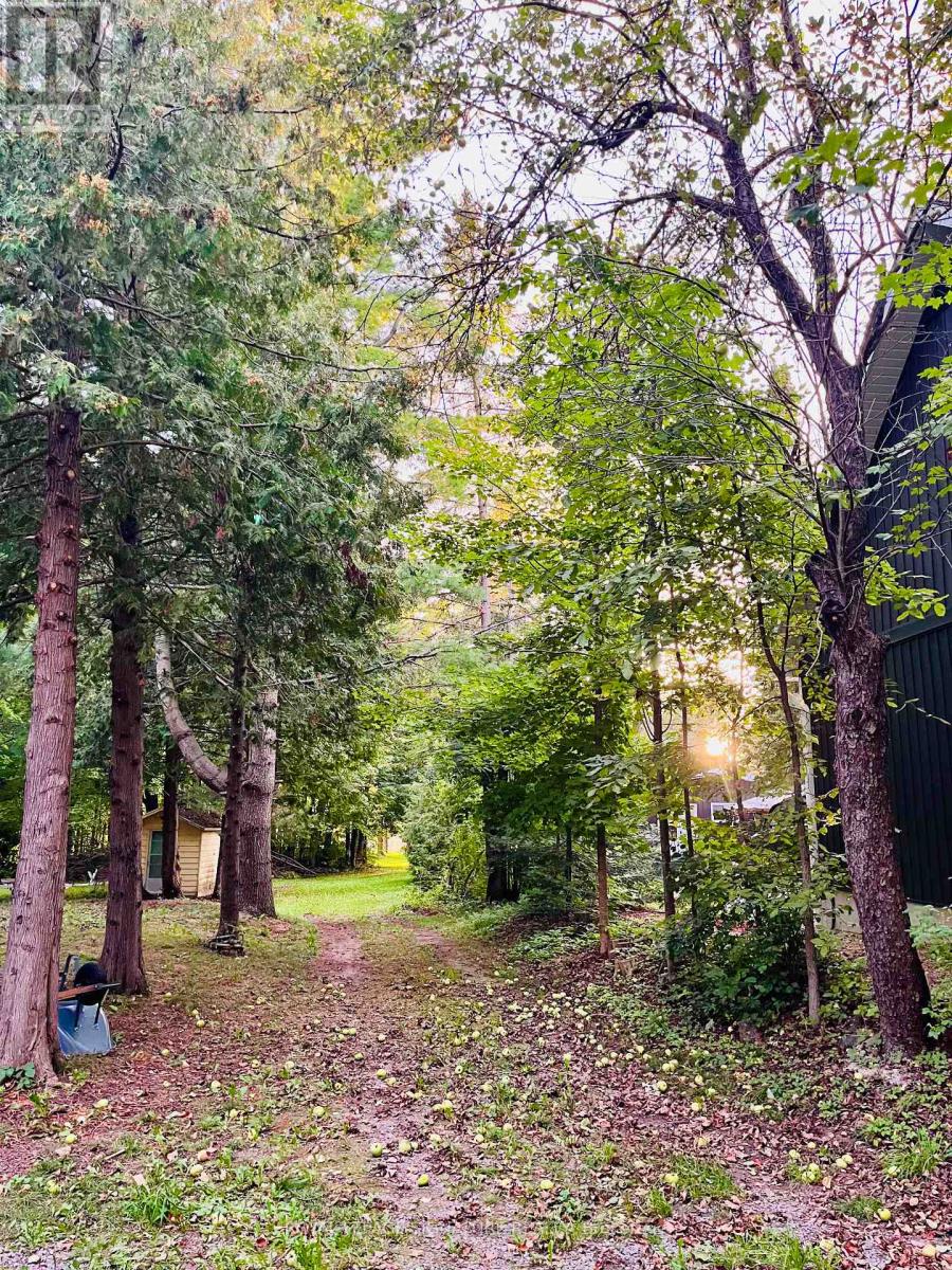 32 Hargrave Road, Kawartha Lakes, Ontario K0M 2B0 - Photo 18 - X13780482