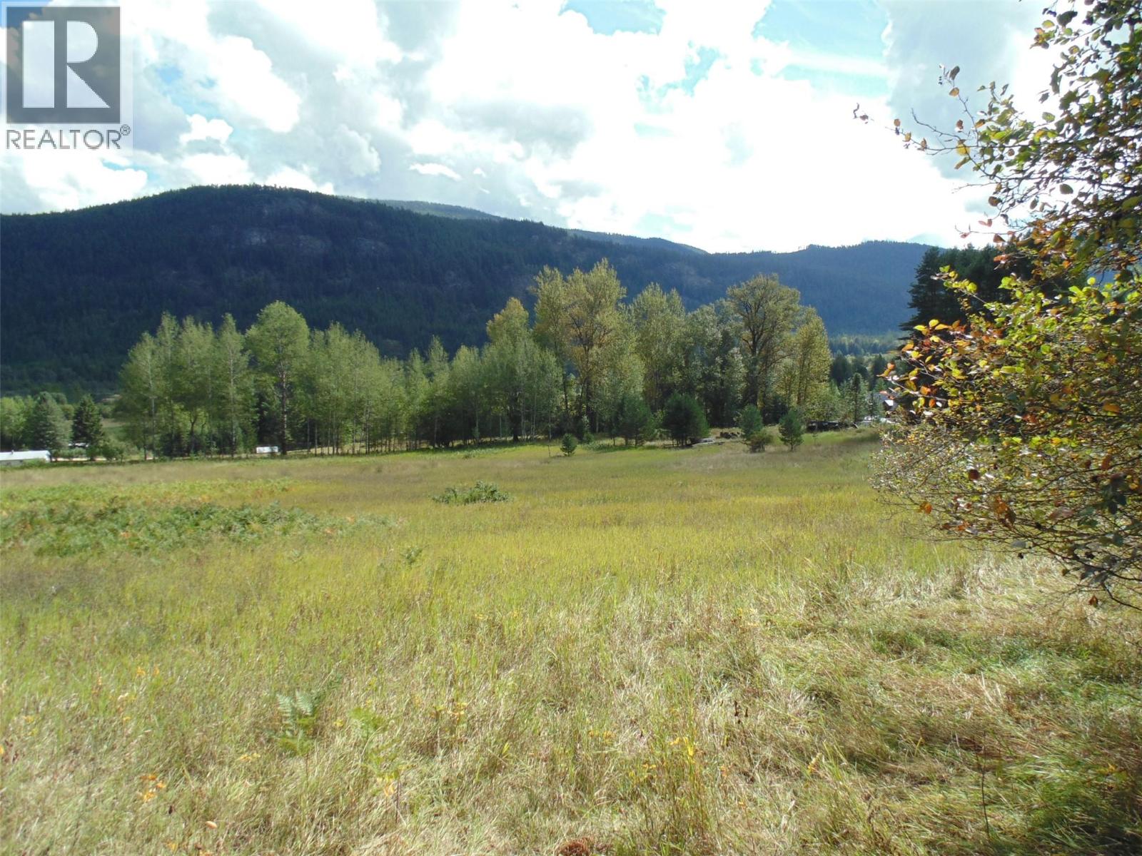 6306 Slocan River Road, Appledale, British Columbia  V0G 2J0 - Photo 4 - 10399996
