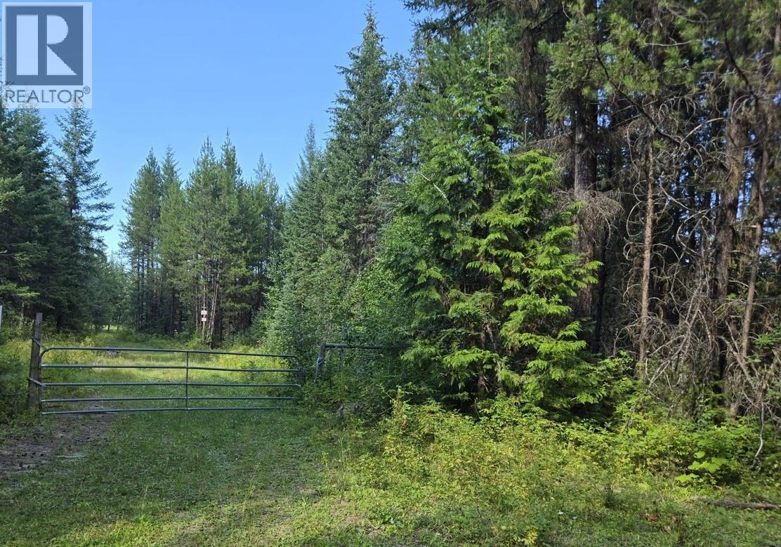 3680 Miller Lake Fsr Forest, Falkland, British Columbia  V0E 1W1 - Photo 1 - 10400727