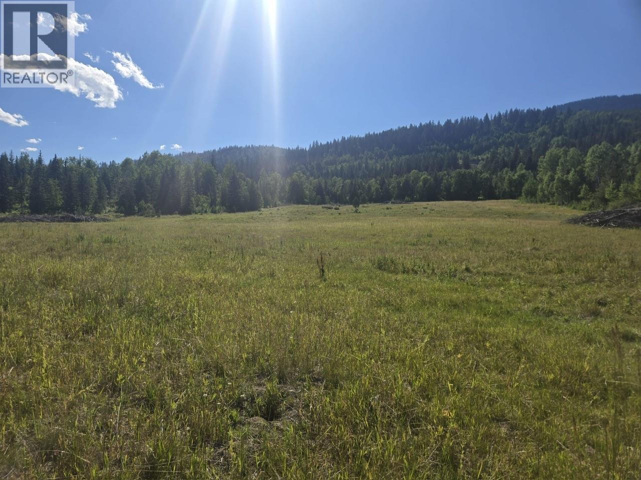 3680 Miller Lake Fsr Forest, Falkland, British Columbia  V0E 1W1 - Photo 2 - 10400727