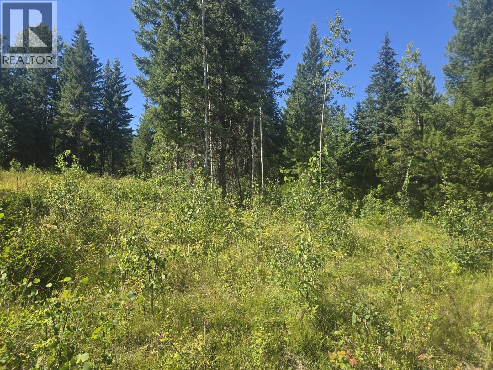 3680 Miller Lake Fsr Forest, Falkland, British Columbia  V0E 1W1 - Photo 20 - 10400727